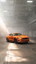 2020 Mustang High Performance Package
